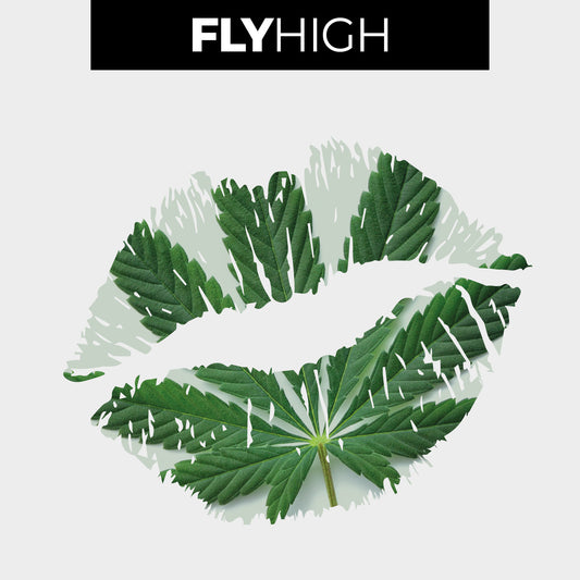 FLYHIGH